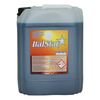 Στεγνωτικό 10L ItalStar