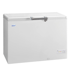 Καταψύκτης μπαούλο CF-379R