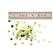 Brunoise 3x3x3 28175W for CL50 Gourmet